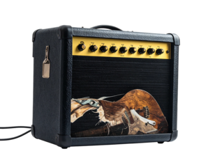 Amplifier with tattered guitar inside against black background. Shows musical instrument within the device