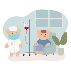 Cats as patients and doctors during blood transfusions on World Donor Day