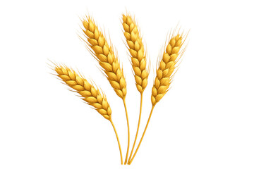 Fototapeta premium Clustered golden wheat grains symbolizing agriculture, harvest, food, and the bounty of nature, set against a clear background