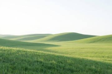Obraz premium Vast expanse of lush green meadow with dense grass under sunlight, rolling hills in distance under clear white sky, serene and open landscape concept.