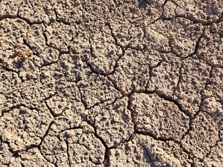 dry cracked earth