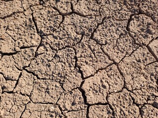 cracked earth texture