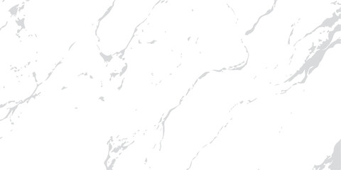 Black and white paint splashes on a white grunge backdrop with a liquid drop texture