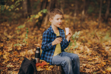 Little kid boy hiking in the forest relax sitting on stump and drinks from thermos in autumn forest