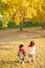 Fototapeta premium 秋の公園とイチョウと子供達