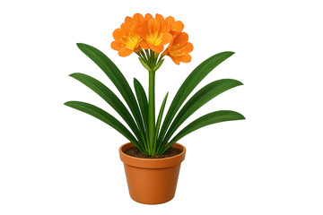 Fototapeta premium Orange cluster-flower plant in small terracotta pot with long green leaves