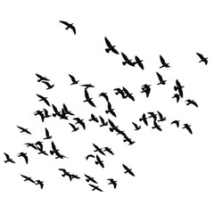 Abstract texture with speckles and gradients for creative design transparent background