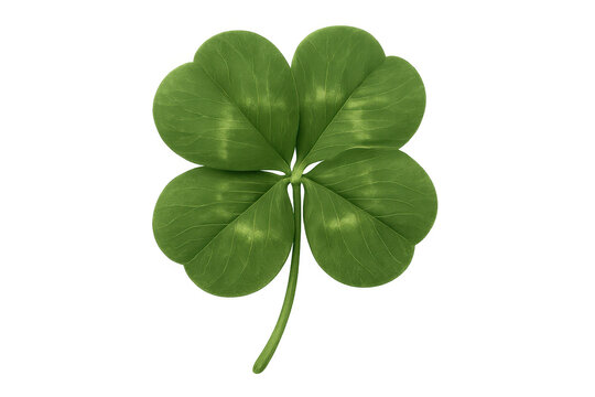 Four-leaf clover bringing luck and good fortune, a st. Patrick's day symbol on transparent background