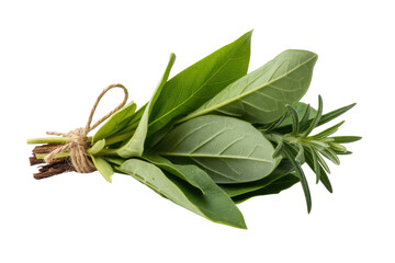 Obraz premium Aromatic culinary herbs, including bay leaves and rosemary, tied with twine, fresh and ready for cooking, set on a dark transparent background. background removed