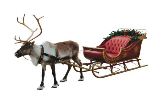 A majestic reindeer, harnessed and ready, pulls a beautifully decorated, classic red sleigh adorned with festive garlands, perfect for holiday journeys. background removed