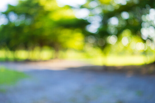 blur natural and light background in the park,blur natural and light background in the park,Blurred of green natural tree in park background.