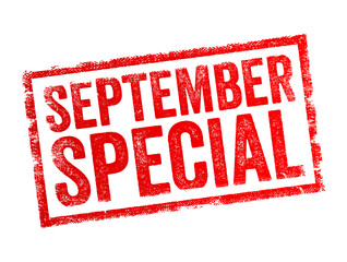SEPTEMBER SPECIAL text in bold uppercase letters inside a rectangular frame, designed like a rubber stamp. The distressed effect gives a vintage promotional look for sale or discount offers