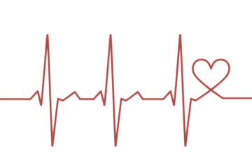 Stylized red heartbeat line forming a heart at its end, symbolizing life, love, and medical health against a dark green backdrop. background removed