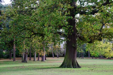 Autumn Fall Colors Landscape with Red Yellow and Green Trees Reflected in Calm Water | Colorful Foliage, Reflection, and Serene Nature Scene Showing Seasonal Beauty of Fall
