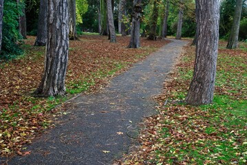 Autumn Fall Colors Landscape with Red Yellow and Green Trees Reflected in Calm Water | Colorful Foliage, Reflection, and Serene Nature Scene Showing Seasonal Beauty of Fall