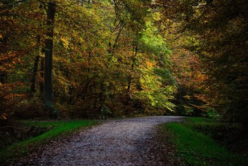 Autumn Fall Colors Landscape with Red Yellow and Green Trees Reflected in Calm Water | Colorful Foliage, Reflection, and Serene Nature Scene Showing Seasonal Beauty of Fall
