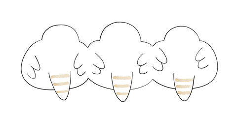 キンカチョウ　チェストナット・フランク・ホワイト