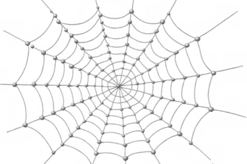 Spiderweb with dew drops on transparent background