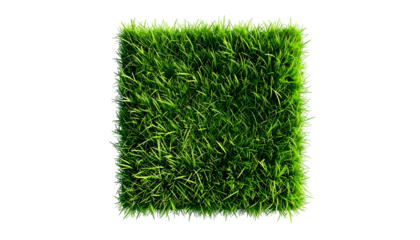 Isolated square of vibrant green grass against a stark black background