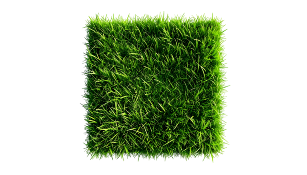 Isolated square of vibrant green grass against a stark black background