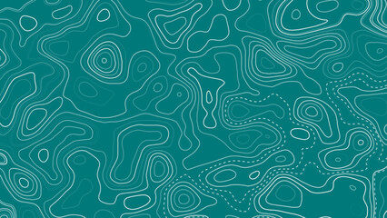 Topographic background and texture, abstract monochrome image. Map mockup infographics