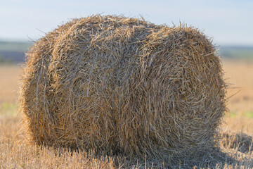 A beautifully arranged bale of hay is perfectly positioned in a sunny, open field scenery