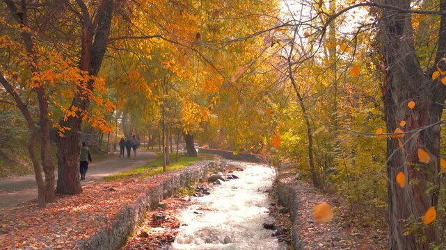 Terrenkur walking trail and small Almatinka river flowing under golden trees in autumn, Almaty city, Kazakhstan