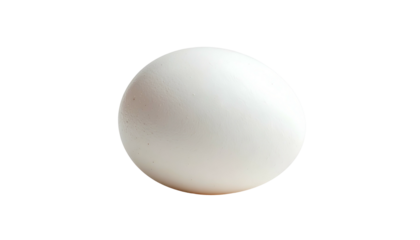 Isolated white, oval egg against a stark black background, showcasing its smooth texture