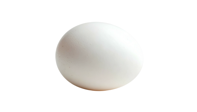Isolated white, oval egg against a stark black background, showcasing its smooth texture
