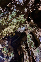 Vadu Crisului Cave in Bihor, Romania, features impressive limestone formations. Stalactites hang from the ceiling, while stalagmites rise from the floor, some meeting to form columns