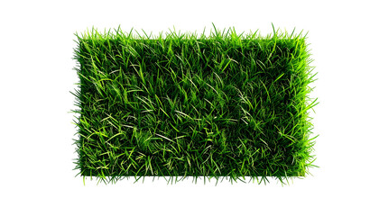 Rectangular patch of vibrant green grass, illuminated with highlights on a black background