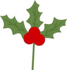 christmas holly with red berries