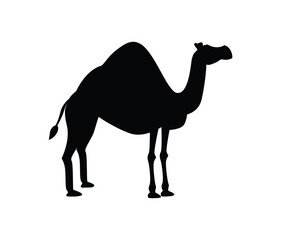 Camel Illustration PNG Transparent Vector, Nativity, Animal, Religious, Nature