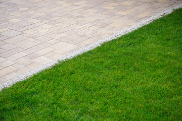 Clean edge between paved walkway and vibrant green lawn. Diagonal. Real photo