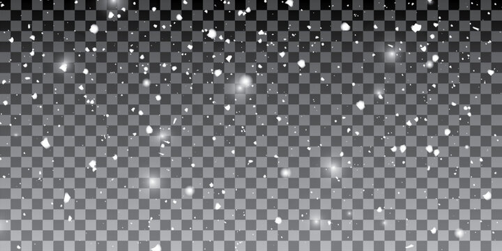 Falling snowflakes in transparent beauty, delicate and small, isolated on a clear background. Snowflake elements, snowy backdrop. Vector illustration of intense snowfall, snowflakes.