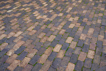 Old cobblestone pavement with moss growing between weathered bricks. Real photo.