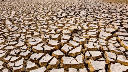 Fototapete Rund Dürre Cracked earth textures indicating drought and environmental issues  © Stock4u2024 