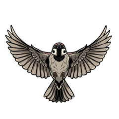 Obraz premium Stunning dynamic sparrow in full flight capturing nature's beauty and freedom with gracefully spread wings