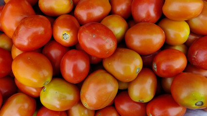 closeup view of ripe red plum tomatoes highlighting their smooth skin and vibrant color perfect for sauces, salads and culinary creations