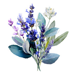 Watercolor lavender and eucalyptus bouquet isolated on white background