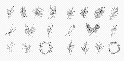 Elegant collection of hand-drawn line art botanical illustrations featuring various leaves, branches, and decorative wreaths on a transparent background.
