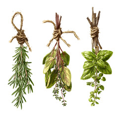 Hanging herb bundles isolated on white background