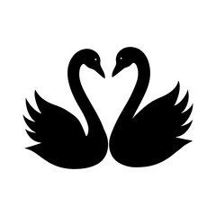 two swans on the water