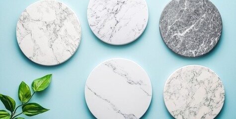 Elegant Round Marble Coasters on Blue Background with Green Leaf