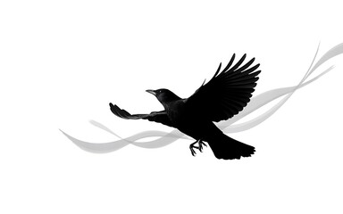 Obraz premium Silhouette of crow flying isolated on white background