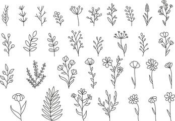 Ręcznie rysowana kolekcja kwiatów i liści.