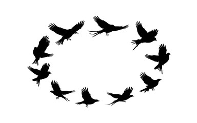 Fototapeta premium Birds flying in circle shape isolated on white background