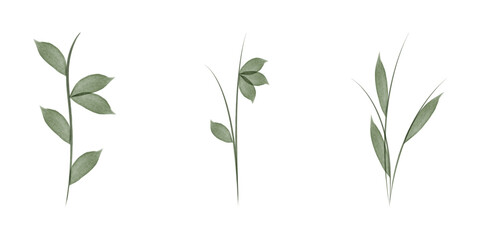 Three individual watercolor flower stems are depicted on a white background. Each stem is unique, varying in leaf structure and overall form, all featuring a gentle green hue.