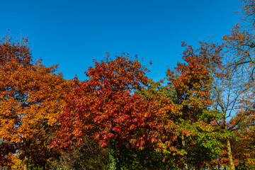 Couleurs d'Automne autour du Lac d'Annecy, Haute-Savoie, Frnce, Europe