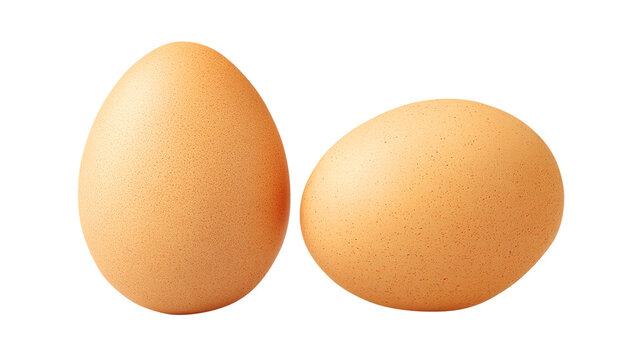 Two brown chicken eggs on a white background brown egg isolated on a transparent background